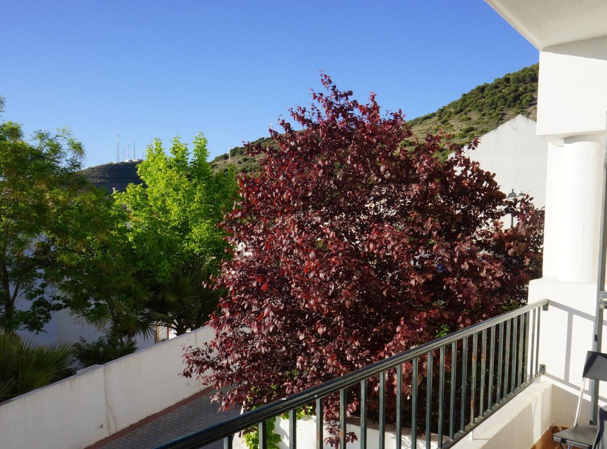 Cute And Relaxing Bed And Breakfast En Albayzin Granada Exterior photo